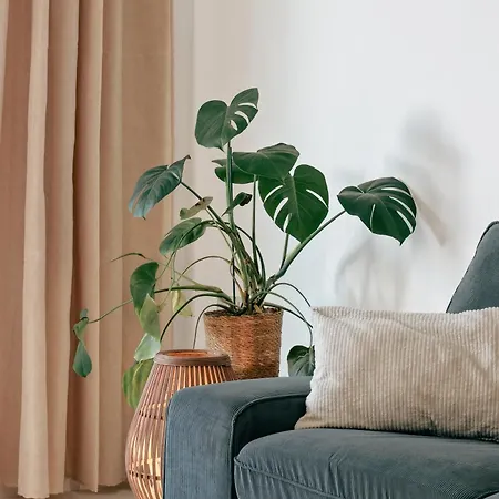 Apartment Casa Luxam